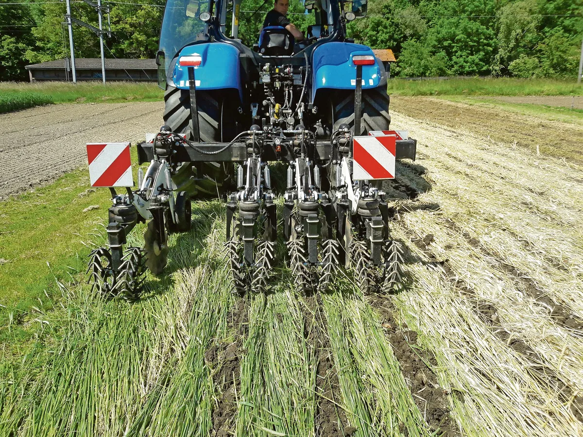 a71c6bb0d7d1ea0f6ef691a43aa03d93aa43c80a Strip-Till-Bearbeitung in den geknickten Grünschnittroggen. Die Strip-Till-Saat ist eine Streifensaat für Reihenkulturen. (Bild BFH-HAFL)