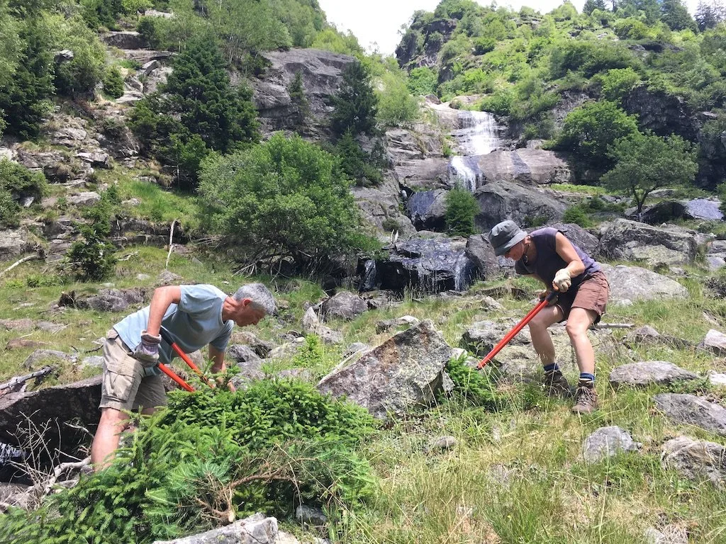 011064842eb04d23607858456e7f3680477b8715 Aktivferien mit Mehrwert: Entbuschen einer halboffenen Weide in Val Cama (Kanton Graubünden). (Bild Pro Natura)