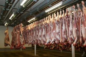 In einem Schlachthof in Nordrhein-Westfalen hatten sich 180 Mitarbeitende mit dem Coronavirus infiziert. (Symbolbild Pixabay)