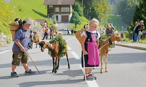 Die Ziegenherde mit ihren Hirtinnen und Hirten erhielt grossen Applaus.