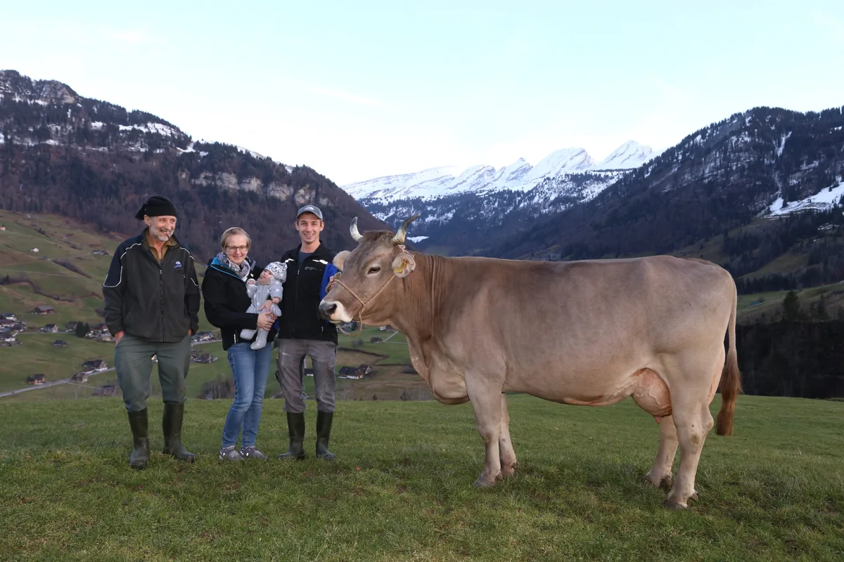 Lordan Urmi.JPG Lordan prägt die OB-Zucht auch über seine Töchter, wie zum Beispiel Urmi von der Familie Alois Bürgler, Nesslau SG. Aus dieser Dauerleistungskuh stammen aktuell gleich mehrere KB-Stiere.
