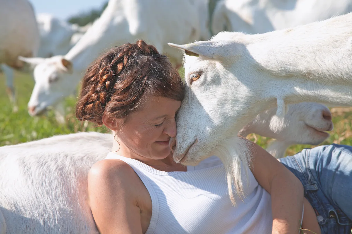 Ziege_Frau_Hirtin Eine Ziege «küsst» die Ziegenhirtin.