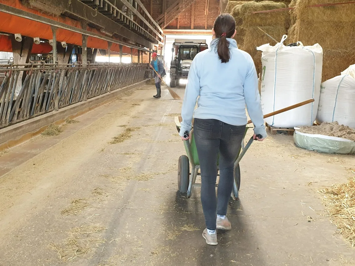 Frauen_in_der_Landwirtschaft_leisten_einen_wertvollen_eitrag._Zunehmend_sind_sie_auch_als_Betriebsleiterin_anzutreffen._Bild_Ruth_Aerni Der Anteil Betriebsleiterinnen wächst langsam, aber stetig