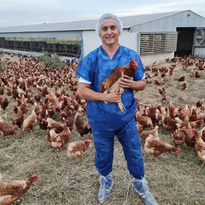 Der Betrieb Granja El Caserito von Yari Lucerna ist der grösste Betrieb in Argentinien, der bei der Eierproduktion auf eine käfigfreie Haltung der Legehennen setzt.
