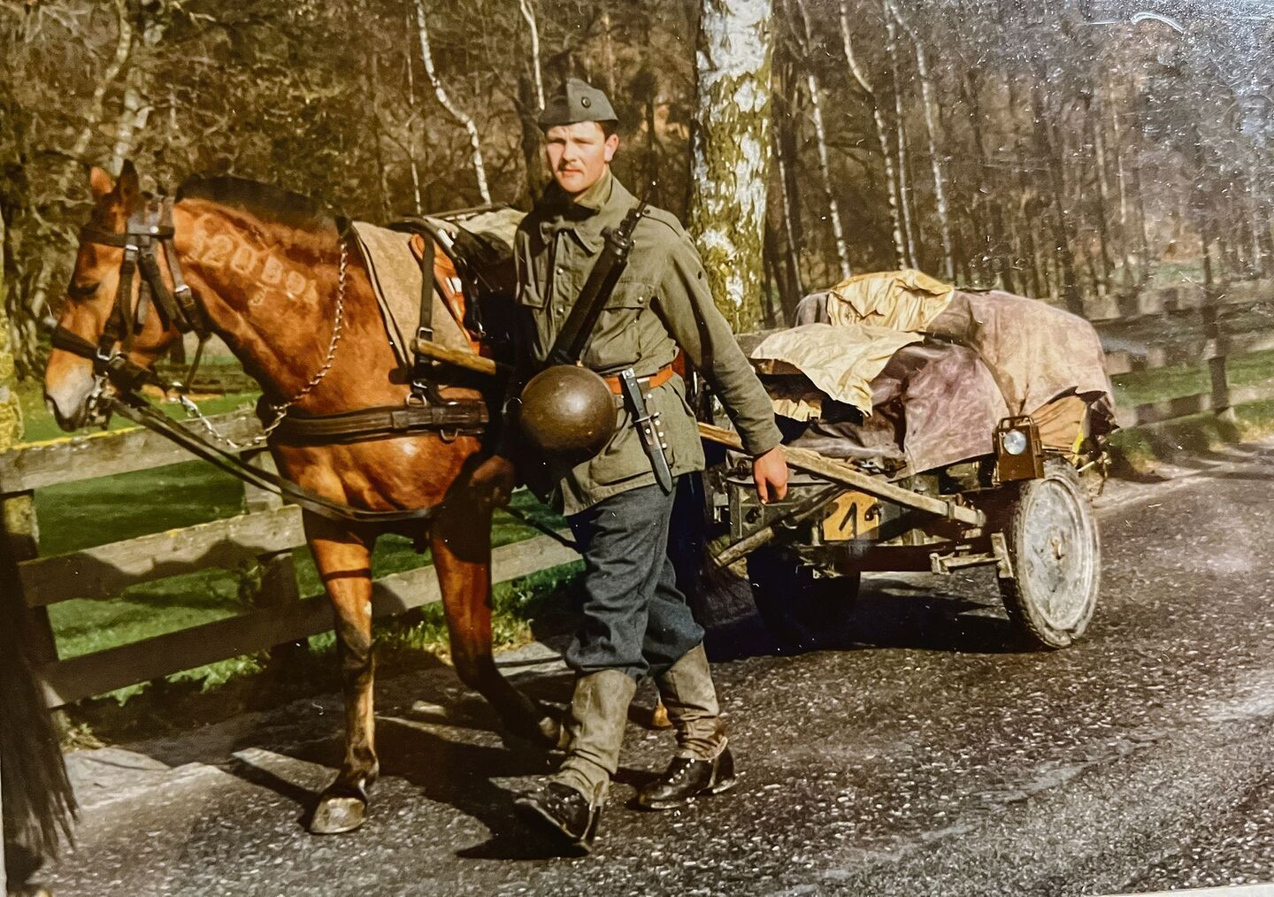 In Vollmontur: Hans Gerber marschierte unzählige Kilometer neben seiner treuen Stute, die noch einen Halsbrand erhielt.