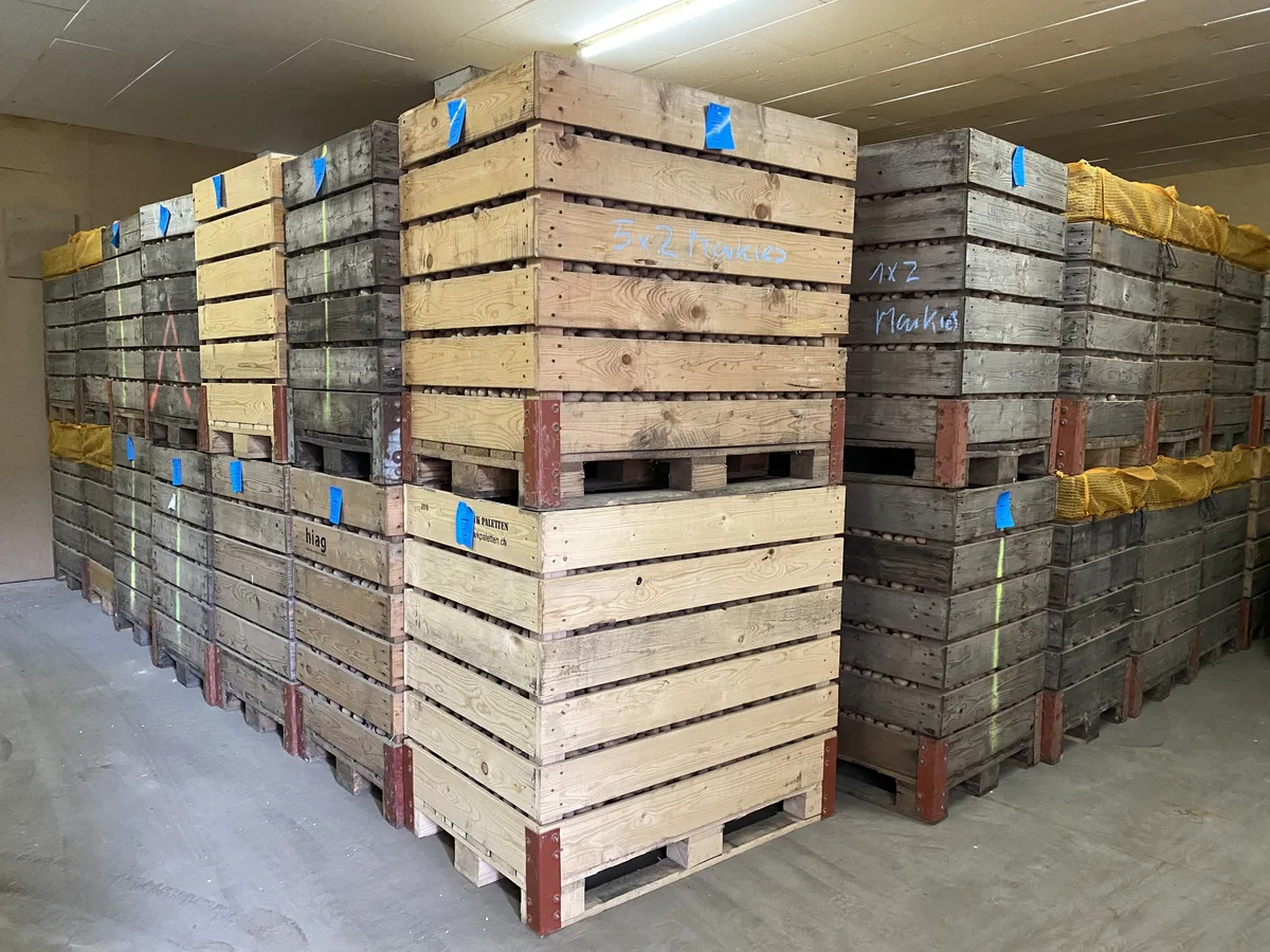 0ab4847abb04545603dd67e3406eb010c281922a Das bereits erhaltene Pflanzgut soll an die Handelsbetriebe zurückgegeben werden. Der VSKP wird die Rückvergütung übernehmen. (Symbolbild Katrin Erfurt)