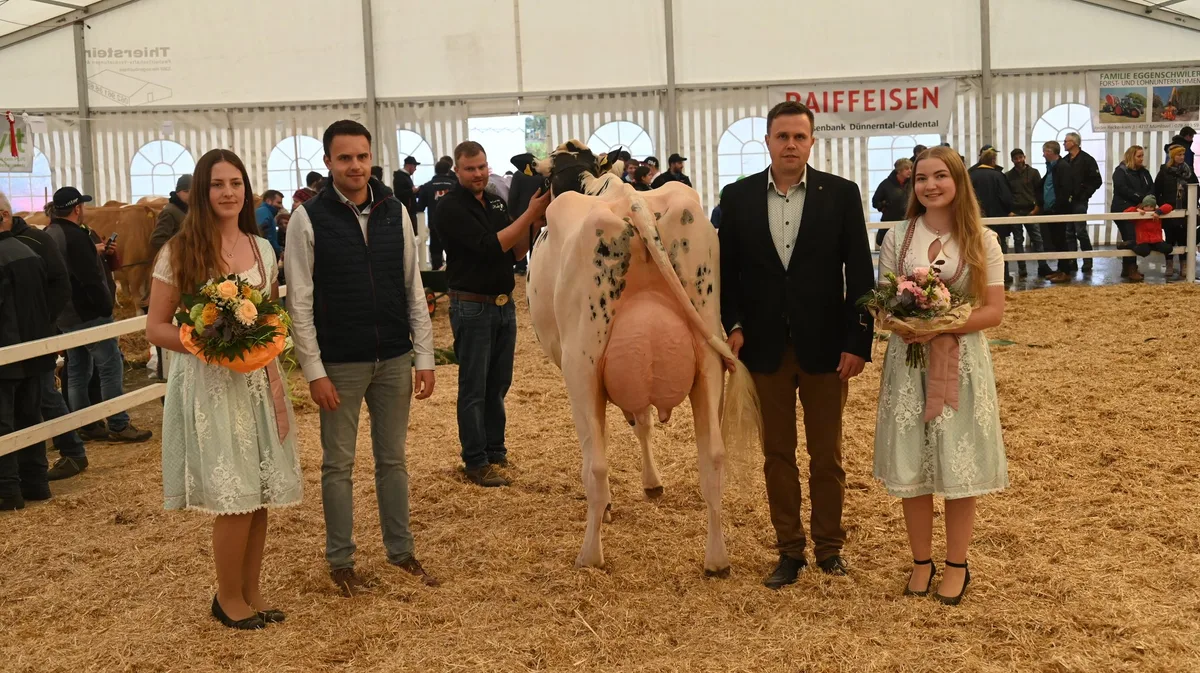 Mu__mliswil_23 Eine Holsteinkuh lässt in Mümliswil alle anderen Rassen hinter sich