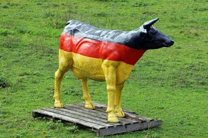 (Symbolbild pd)