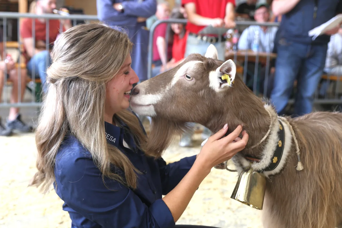 260829_Togesa 106.JPG Der Miss-Titel von Lilett rührte die Schwyzer Ziegenzüchterin Petra Keller-Ziegler zu tränen.