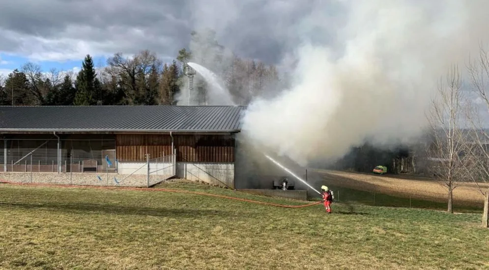 Grossaufgebot für Brand bei Hühnerzucht