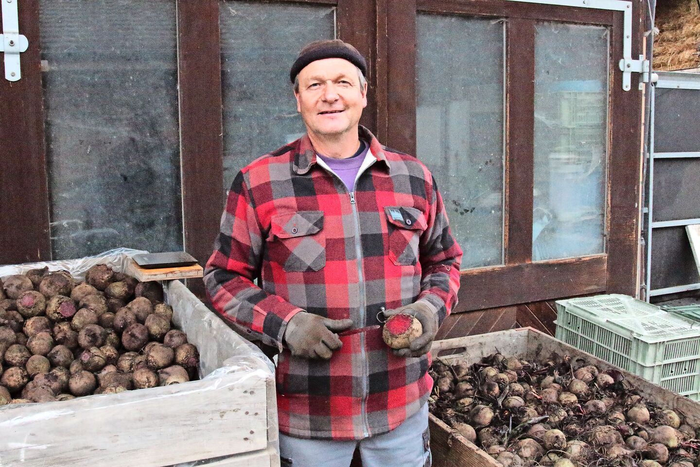 Gerhard Fawer lagert die Randen nach der Ernte kurzzeitig selbst. Bis Ende Januar rüstet er  die Knollen regelmässig. Erst danach liefert er sie an seine Abnehmer.