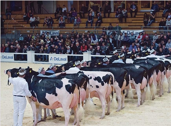 Die Expo Bulle 2017 wurde wegen des Vorfalls an der Expo Sarine abgesagt. (Bild BauZ)