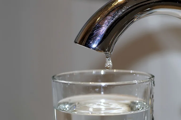 ed0e2ebac813ca18107bf935796543996439d8fb Die IP- Suisse nehme die Anliegen der Volksinitiativen für sauberes Trinkwasser und für eine Schweiz ohne synthetische Pestizide ernst, jedoch würden die beiden Initiativen weit über das Ziel hinausschiessen. (Symbolbild Pixabay)