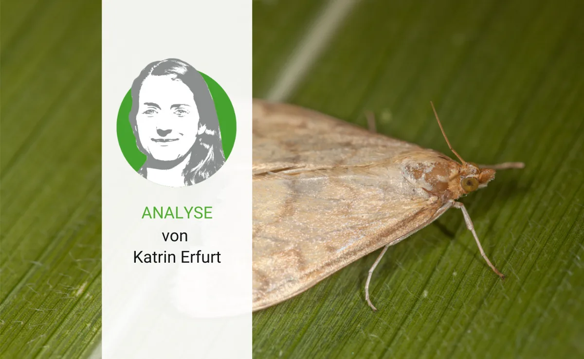 analyse-8 Die Natur droht aus dem Gleichgewicht zu geraten