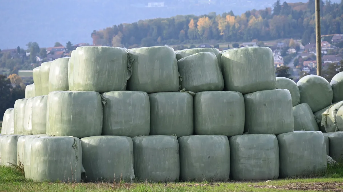 Was gegen knabbernde Mäuse an Siloballen wirklich hilft