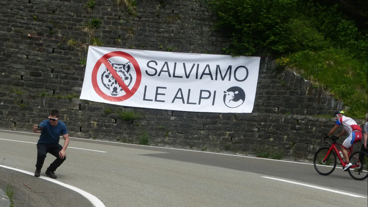 293a3794f082636e41581ea3de55d7ab2284ae84 Die Plakate wurden in verschiedenen Teilen der Tour-de-Suisse-Route aufgehängt. (Bilder VSLvGRT)