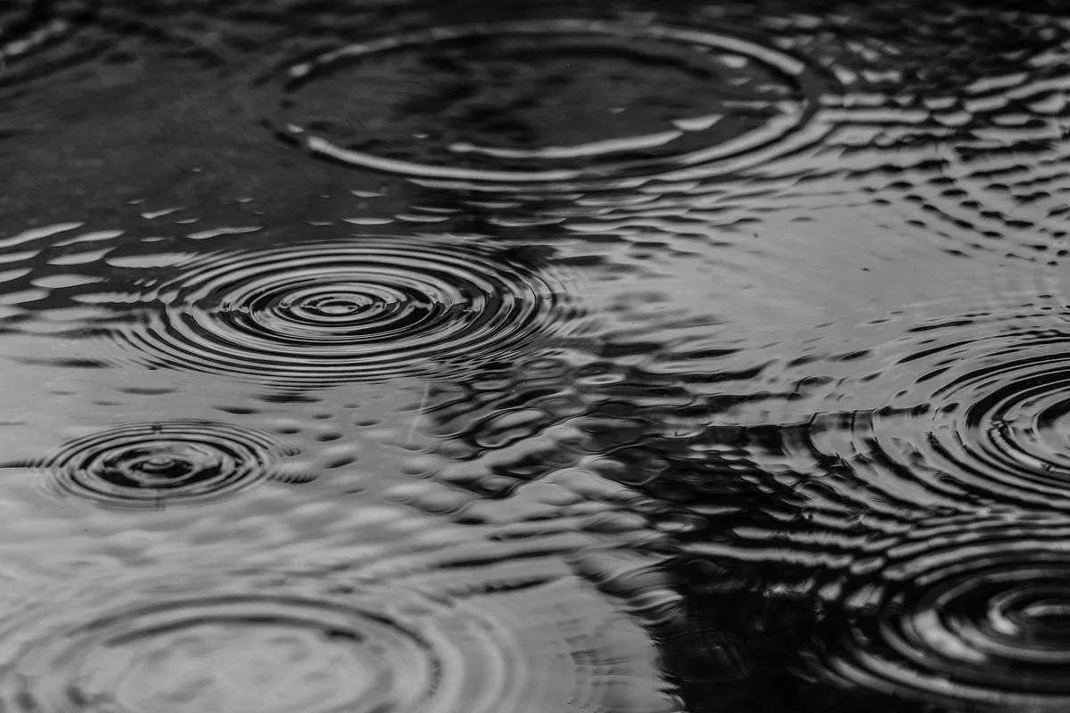 BZ-Wetter-Regen So viel Regen wie seit Anfang Januar nicht mehr