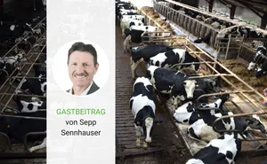 Sepp Sennhauser ist Co-Präsident von Bio Ostschweiz und St. Galler CVP-Kantonsrat.