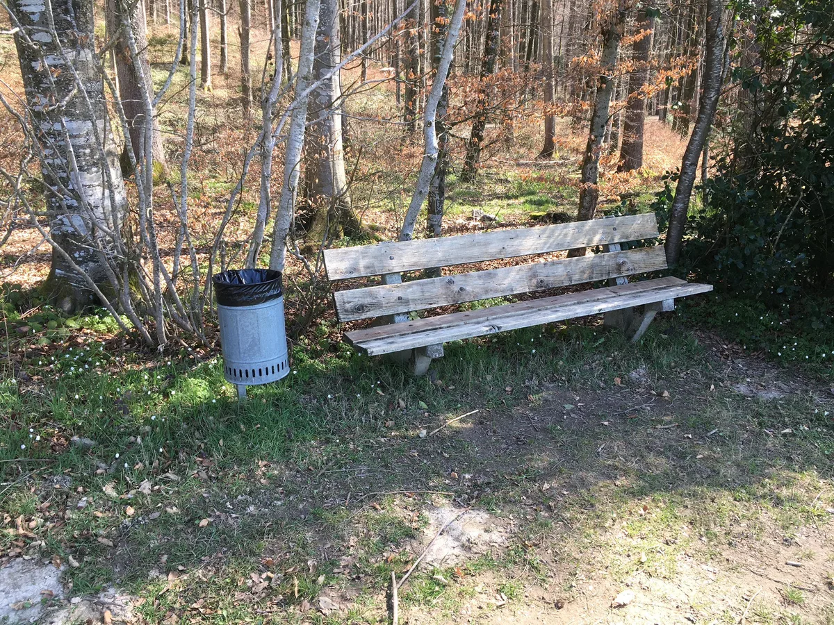 Bussen bis 300 Franken für Littering – Nationalrat dafür, SVP dagegen