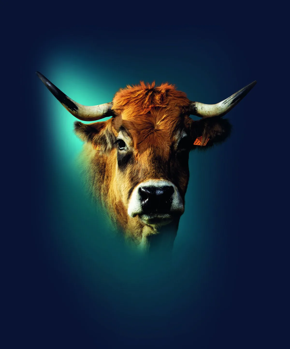 dg_21-09_th8_aubrac Sommet de l’élevage 2021: Stelldichein der Tierzucht