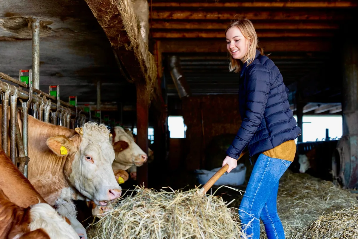 b7aa9392f89d9235ca9231ae0ce6a34581786deb Jährlich leisten rund 1400 Jugendliche mit einem Agriviva-Stage einen Landdienst. (Bild: Agriviva)