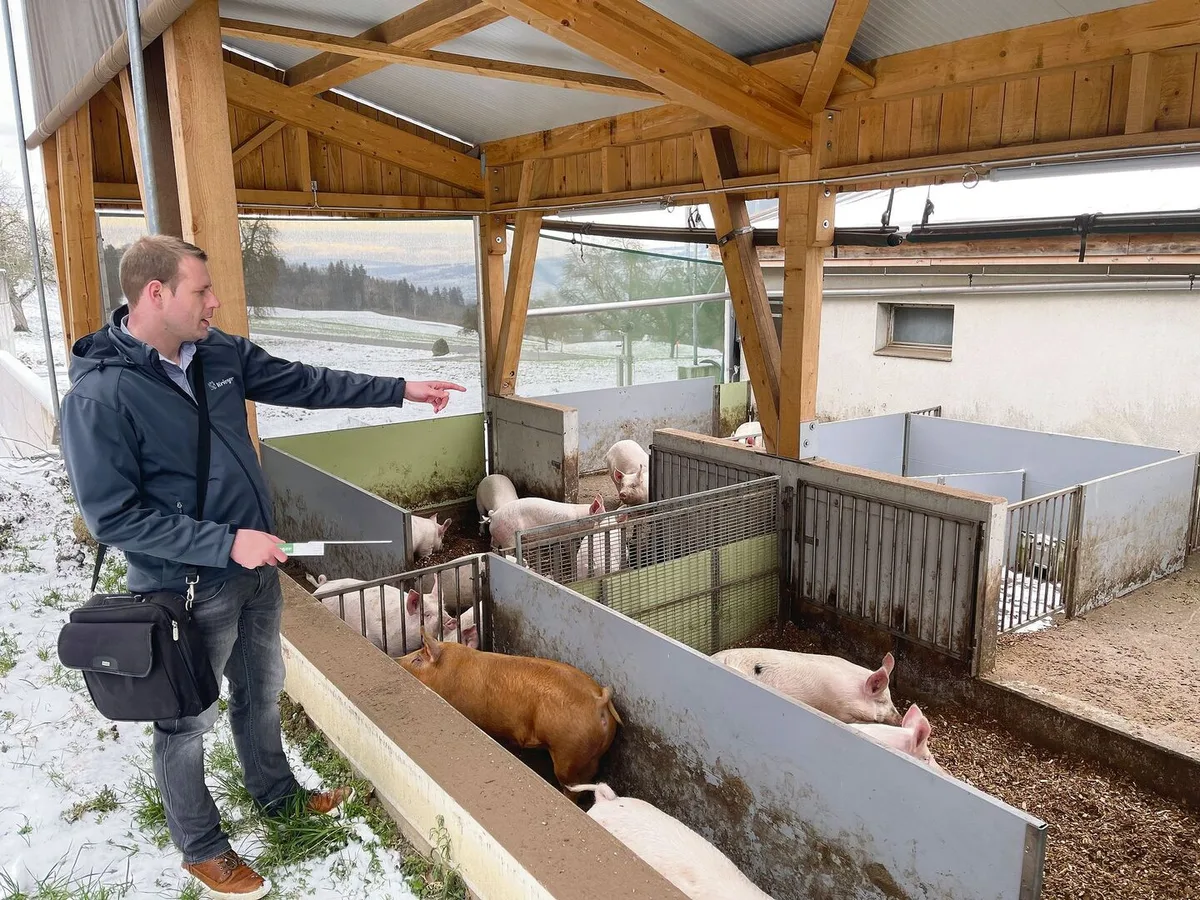 Schweinespezialist Hubert Hartmann, Planer bei Stallbauer Krieger AG, zeigt den strukturierten Auslauf.