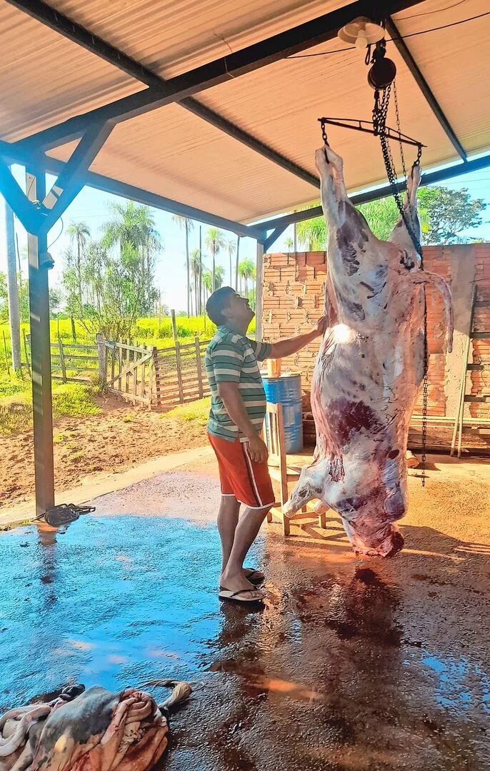 e18ebba88e7b83c9867eb5ac6b6331eebd02f67f635204bb9c4729ab45f19b00 Metzgete in Paraguay: Auf dem Betrieb wird geschlachet, das Fleisch wird direkt verkauft.