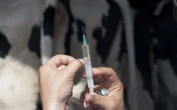 5d6657be07583c378b4718d4872f9b6197d7430e Antibiotika umsichtig einsetzen: Dafür lanciert Frankreich eine neue Kampagne als Teil des Antibiotika-Aktionsplans. (Bild Fotolia)