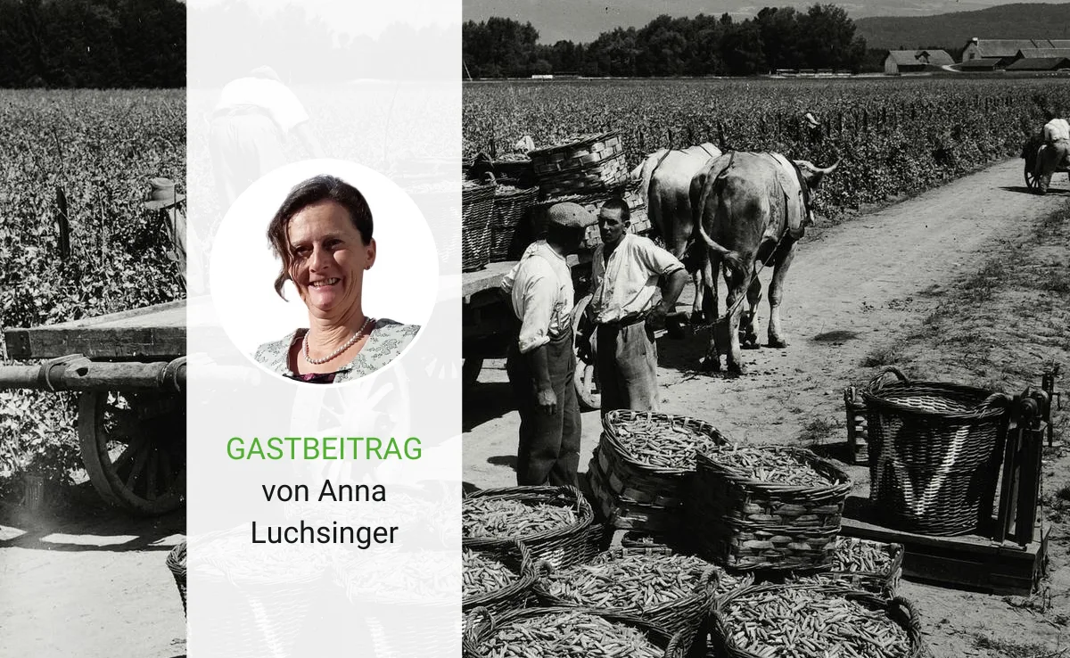 gastbeitrag-9 Wirtschaftliche Unabhängigkeit bleibt für die meisten ein Traum