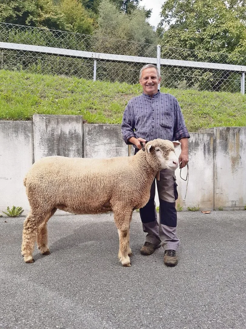 Ein Ehrentag für die Obwaldner Schafzüchter