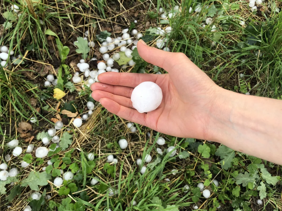 hagel_1 Hagel vom Donnerstag in Burgdorf sorgt für Millionenschäden