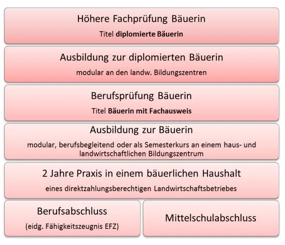 16aa6c6c578c7209f07c4756fc9e9b7d02eabf47 Der Weg zur Bäuerin. (Bild Schweizer Bäuerinnen- und Landfrauenverband)
