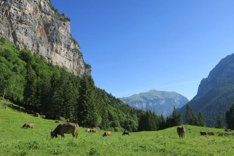 a9f6a3e24c89c71902f951935e8352370aa5b446 Die Stiftung Landschaftsschutz Schweiz setzt sich für die Erhaltung der Landschaft ein. (Bild Esther Thalmann)