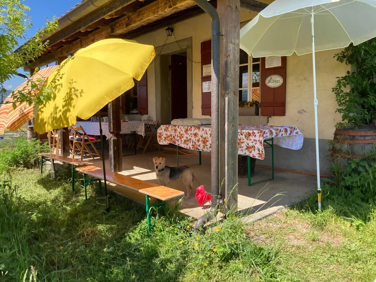 Agrotourismus und Direktvermarktung: Diese drei Fragen führen zum Erfolg