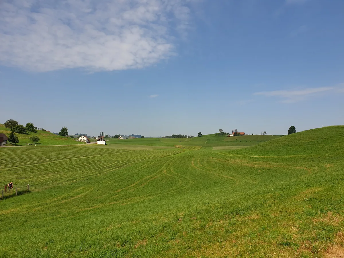 20190704_104544 Der Betriebsrückgang verlief 2021 langsamer als in den Jahren zuvor