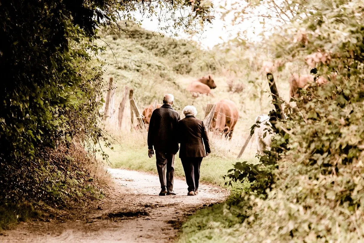 elderly-2914879_1280 Wie kann man den Ruhestand planen und geniessen?