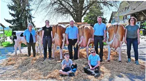 Familie von Dach freut sich über ein tolles Ergebnis an der Zuchtfamilienschau um Stammkuh Belle (v. l. n. r.): Margrit, Laura, Markus, Reto und Christine von Dach sowie (vorne v. l. n. r.): Noah und Levin.