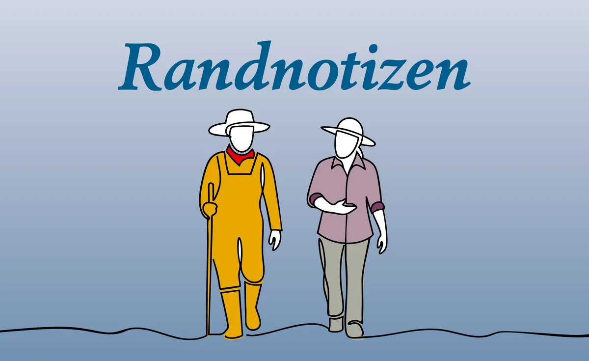 Website_Randnotizen2 Hagenbuchs Randnotizen: Über den Rat der Berufskollegen
