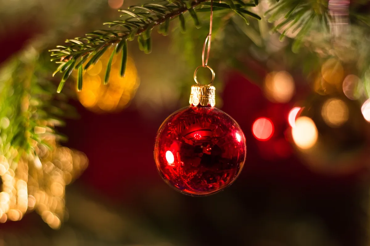 christmas-g199f730e4_1920 Welcher Weihnachtsbaum ist der richtige?