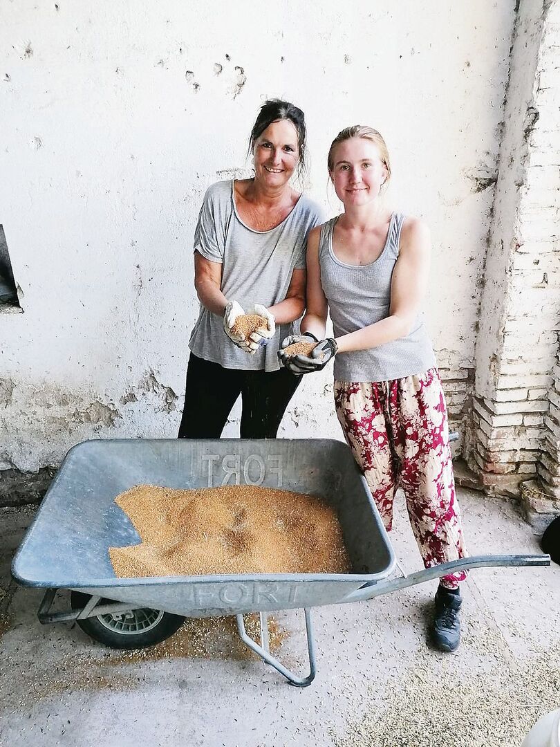 Bea und Zoé präsentieren den von Hand gesiebten und von Gerste und Hafer getrennten Leindotter. Das Saatgut reicht für 25 Hektaren.