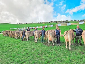 Die Familie Liver aus Flerden und ihre Helfer(innen) an der Halteprämienschau von OB-Stier Vincenzo. Total 21 Nachkommen von diesem Original-Braunvieh-Stier wurden gezeigt.