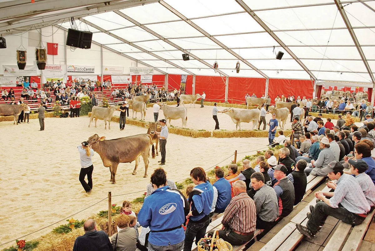 Vom 24. März bis zum 26. März treffen sich die Schwyzer Züchterinnen und Züchter in der Markthalle Rothenthurm.