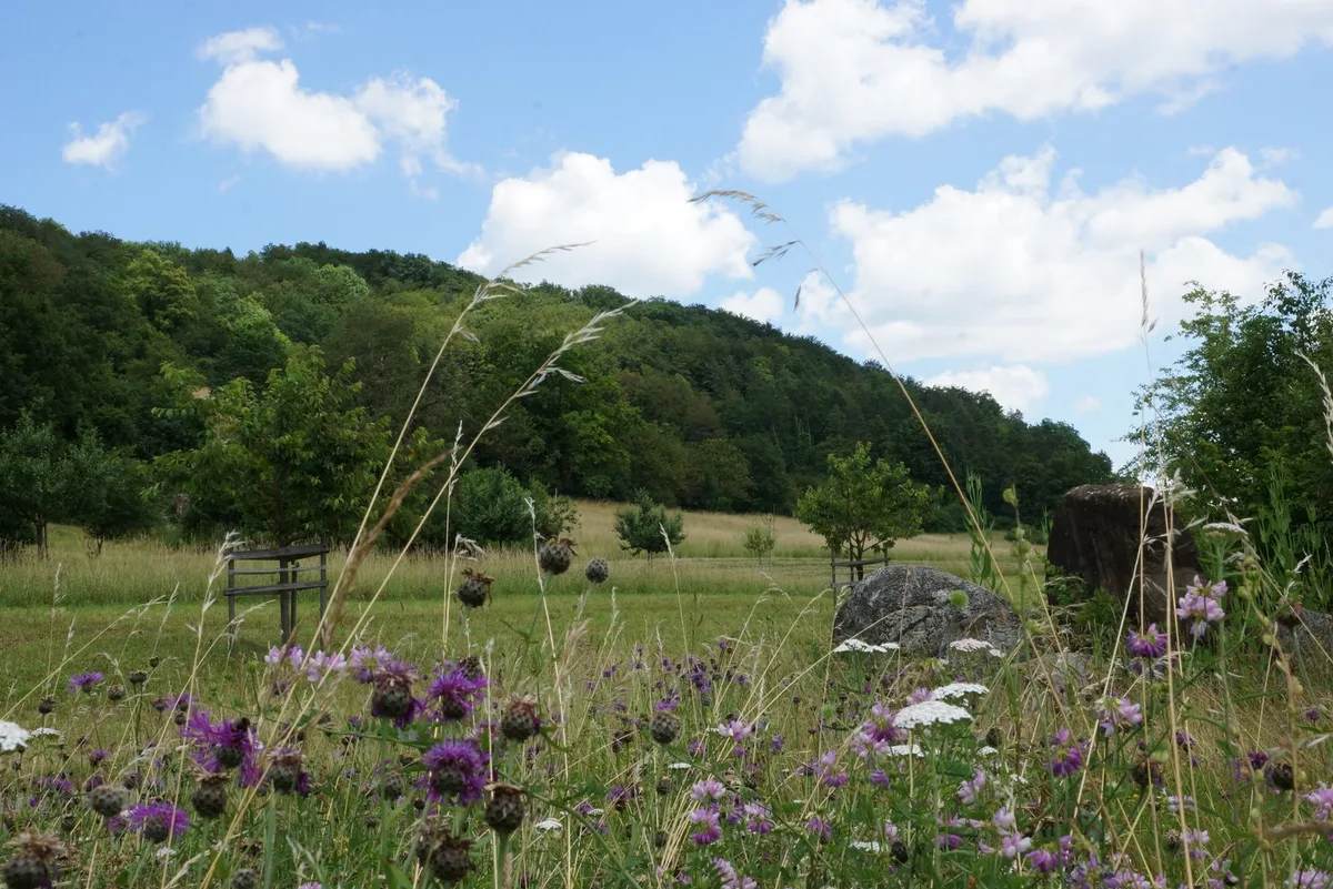 Labiola_Eiteberg_c_rae 35 Jahre Labiola: 1560 Aargauer Betriebe machen mit