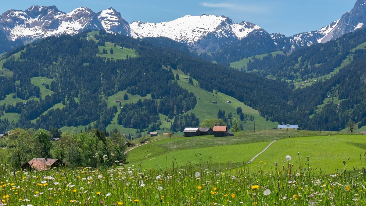 «Die Vernunft hat gesiegt»: Urek-S lehnt den Gegenvorschlag zur Biodiversitäts-Initiative ab