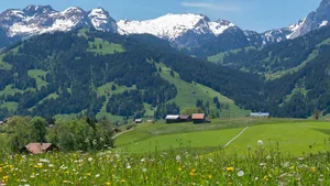Es gebe in der Schweiz bereits genügend Flächen zur Förderung der Biodiversität, so der SBV. Es müsse vielmehr deren Qualität verbessert werden. Tatsächlich hatte die damalige Umweltministerin Sommaruga in der Nationalratsdebatte dasselbe gesagt.