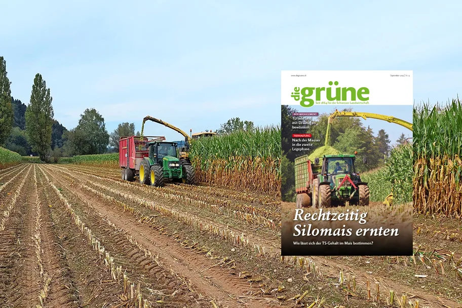 «die grüne» im September 2025 – Rechtzeitig Silomais ernten