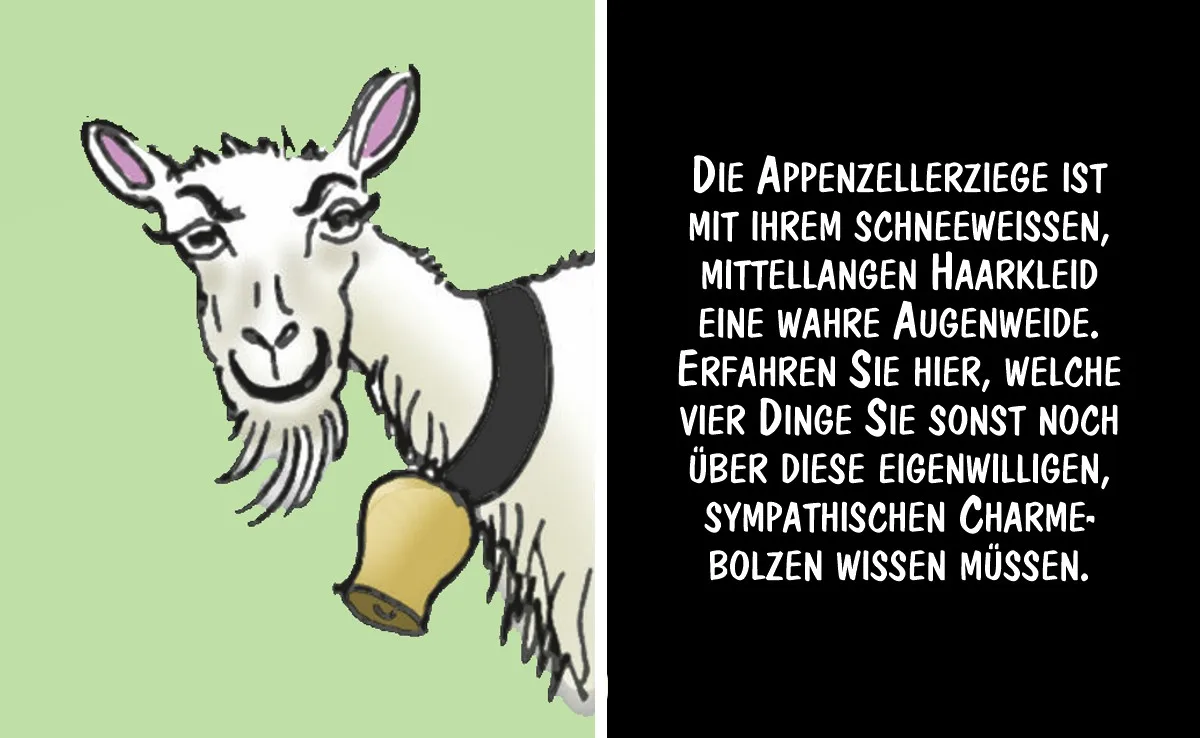 Cartoon von Marco Ratschiller/Karma: Die Appenzellerziege