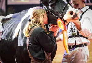 Emotionen pur an der Junior Expo: Mollanges Gold Chip Fidelia, präsentiert von Lauriane Henchoz aus Essertines wurde Réserve Championne bei den Holstein-Kühen.