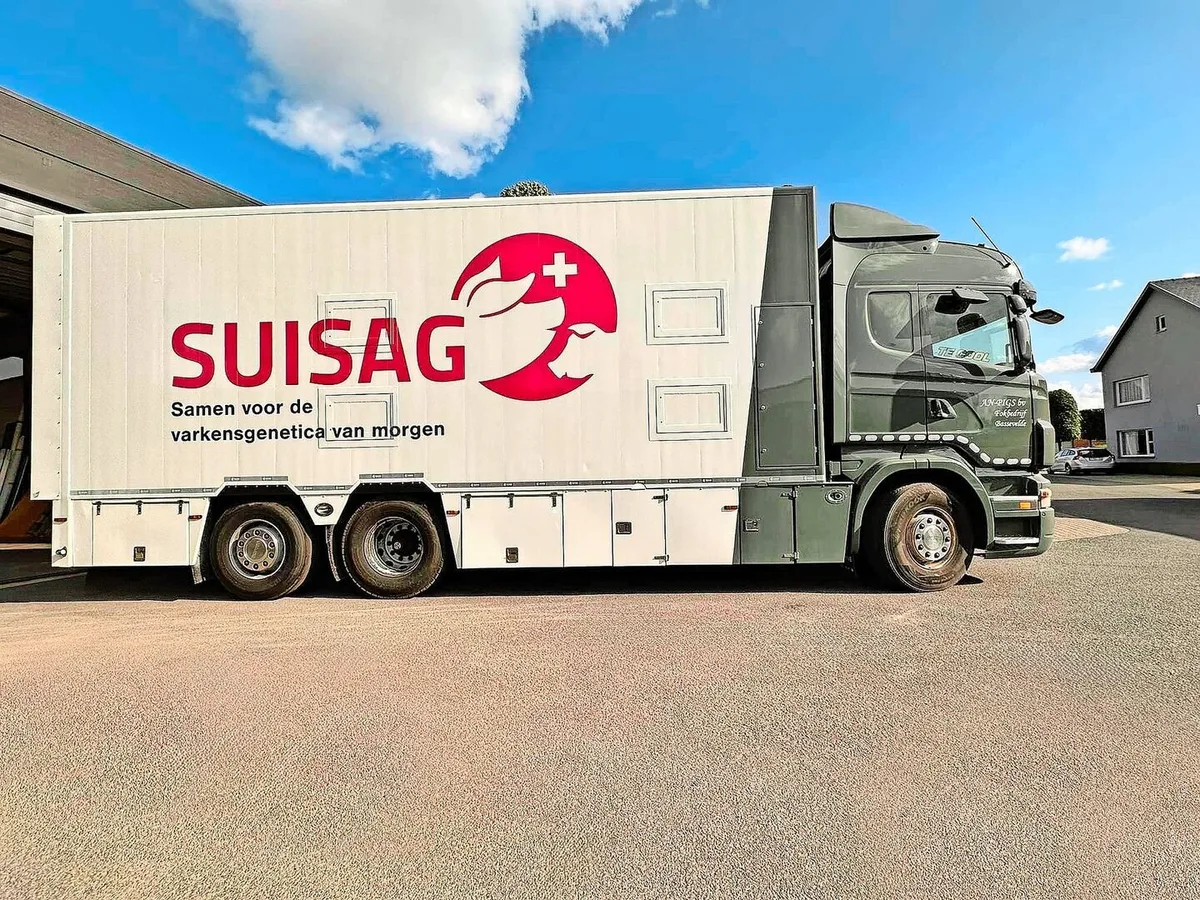 677042b378c4d9c65ba7318d4830a8184e2d3d66296db794d087aaa9596b1246 Suisag-Logo auf einem Lastwagen in der Region Flandern, Belgien. Hier setzt ein Vermehrungszüchter auf Schweizer Genetik.