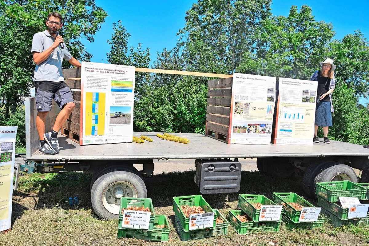 Michael Gugger (l.) von der Versuchsstation Gemüsebau Ins BE und Martina Keller von Agroscope Extension Gemüsebau erläutern ihre Ergebnisse zur Spätverunkrautung bei den Zwiebeln.